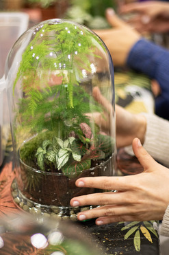 Taller de Terrario en Madrid / Terrarium workshop in Madrid - "Jungle in a Jar"