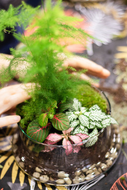 Taller de Terrario en Valencia / Terrarium workshop in Valencia - "Jungle in a Jar"