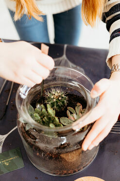 Día 1 - 15:30 | Taller de Terrario Desértico con Cactus y Suculentas