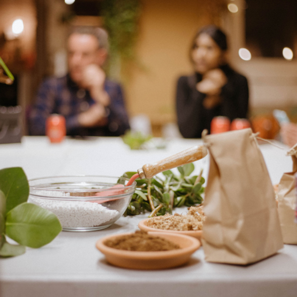 Taller de Cuidados de Plantas en Madrid