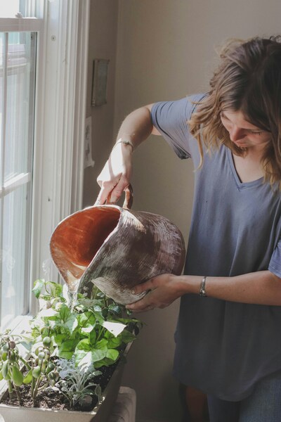 Plant-Sitting Madrid / Guarderia en Madrid