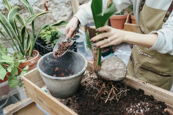 Taller de Cuidado de Plantas en Barcelona 