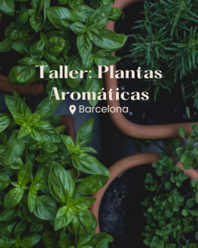 Taller de Plantas Aromáticas Barcelona / Aromatic plants workshop