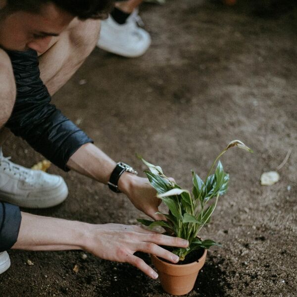 Gardening Course for Beginners