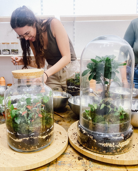 Taller de Terrario en Barcelona 